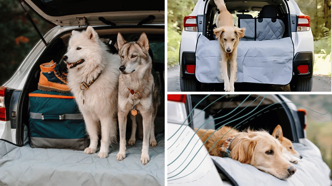 4Knines SUV Cargo Liner: The Best Solution For Your Vehicle